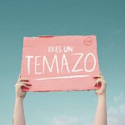 Eres Un Temazo