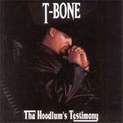 Tha Hoodlum's Testimony