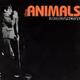 The Animals Retrospective