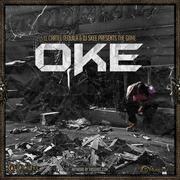 OKE: Operation Kill Everything 