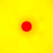 XOXO: From Love & Anxiety in Real Time