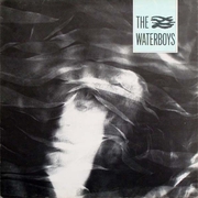 The Waterboys