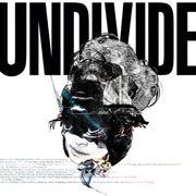 Undivide