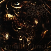 Transcend Into Ferocity