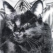 Strange Chalices Of Seeing