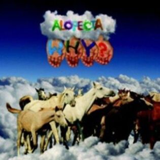 The Fall Of Mr. Fifths