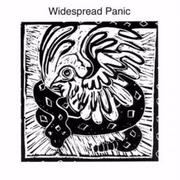 Widespread Panic