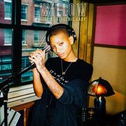 Willow: Live At Electric Lady