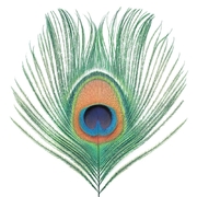 Apple Venus Volume 1 