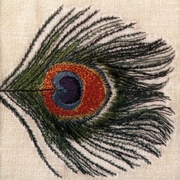 Homespun: The Apple Venus Volume One Home Demos 