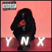 YNX 