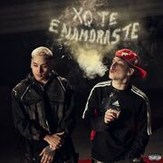 xq te enamoraste (part. Tiago PZK)