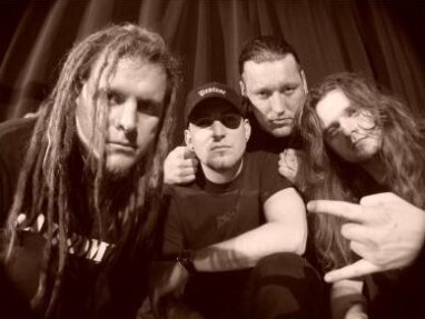 Cadaveres De Tortugas