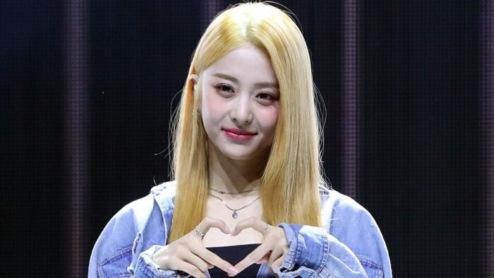 Jellyfish (해파리)