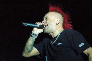 The Exploited