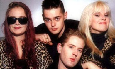 Voice of the Beehive