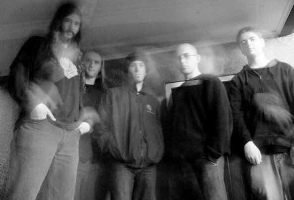 Zero Degrees Freedom