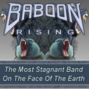 Baboon Rising