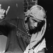 Del The Funky Homosapien
