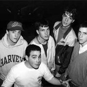 Gorilla Biscuits