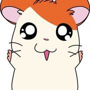 Hamtaro