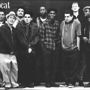 Hepcat