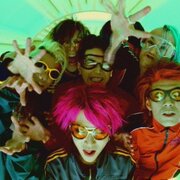 Hide With Spread Beaver