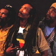 Israel Vibration