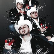 Los Buitres de Culiacán