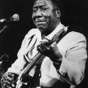 Muddy Waters