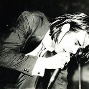 Nick Cave