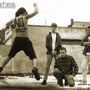 No Demuestra Interés