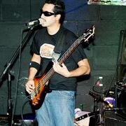 Os Pinguins do Deserto