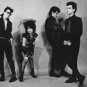 Parálisis Permanente