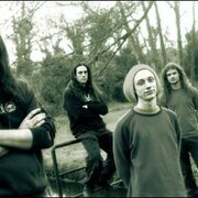 Pitbulls In The Nursery