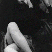 Seagull Screaming Kiss Her Kiss Her