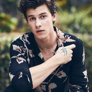 Shawn Mendes