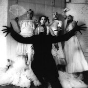 Sleepytime Gorilla Museum