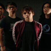 Spongecola