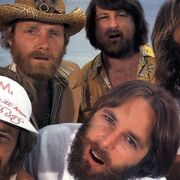 The Beach Boys