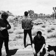 The Dangerous Summer