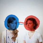 The Dirty Projectors