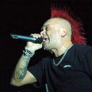 The Exploited