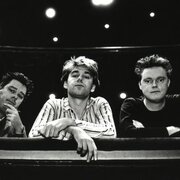 Vliegende Panters, de