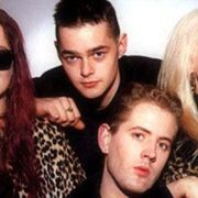 Voice of the Beehive